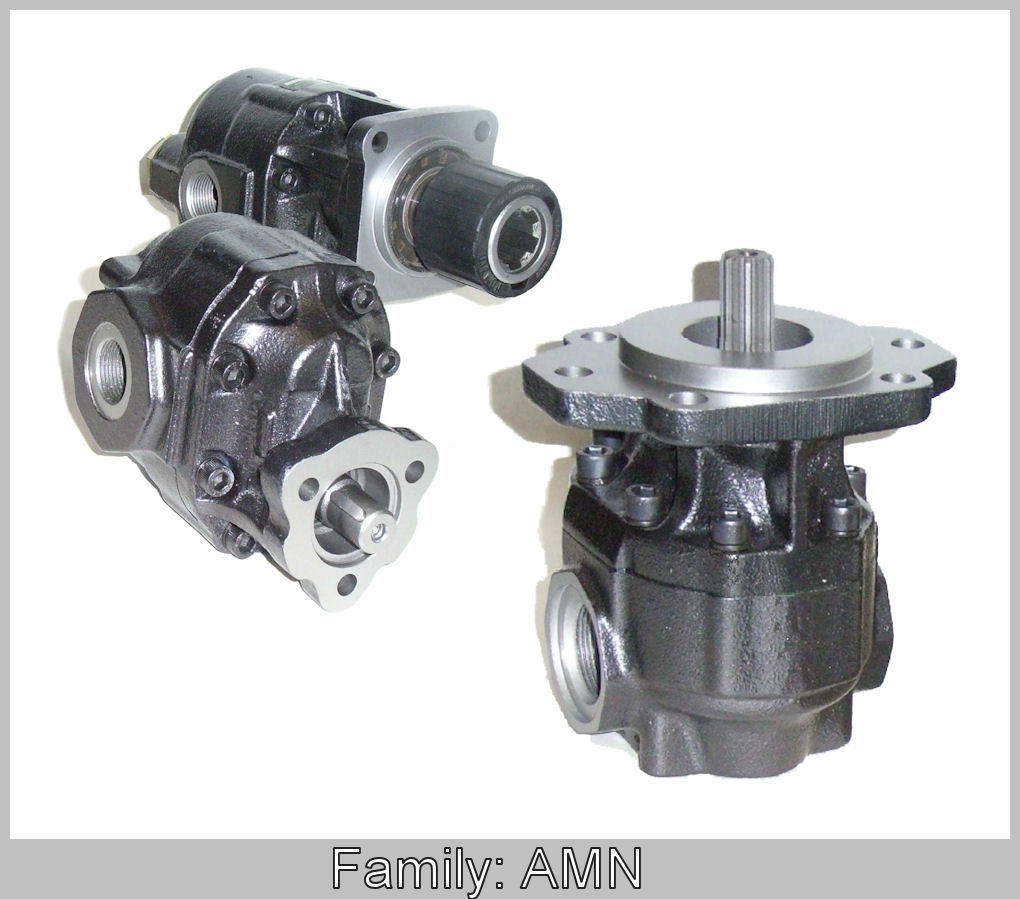 Hydraulic Pumps and Motors - GHIM Hydraulics